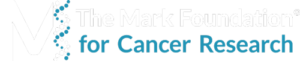 Mark Foundation logo